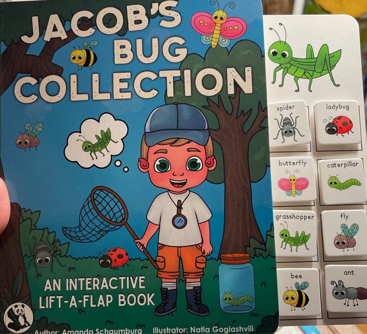 Jacob's bug collection