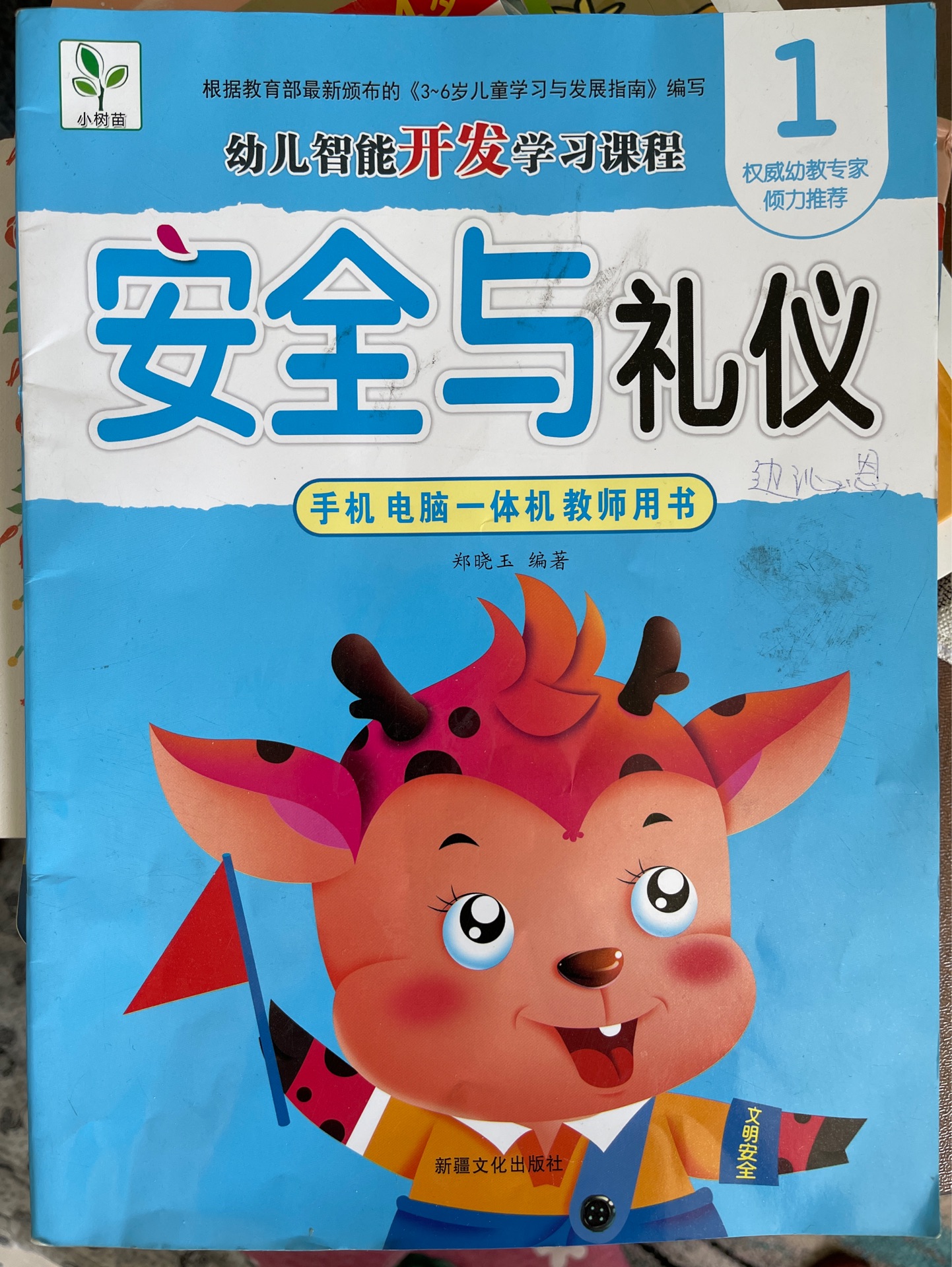 安全與禮儀