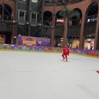 Z宇哥