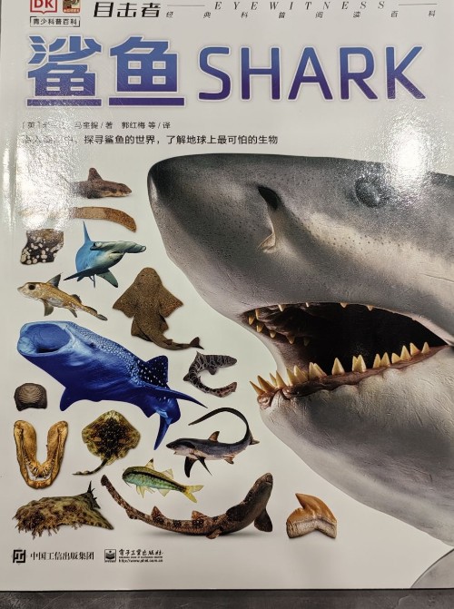 DK目擊者 鯊魚