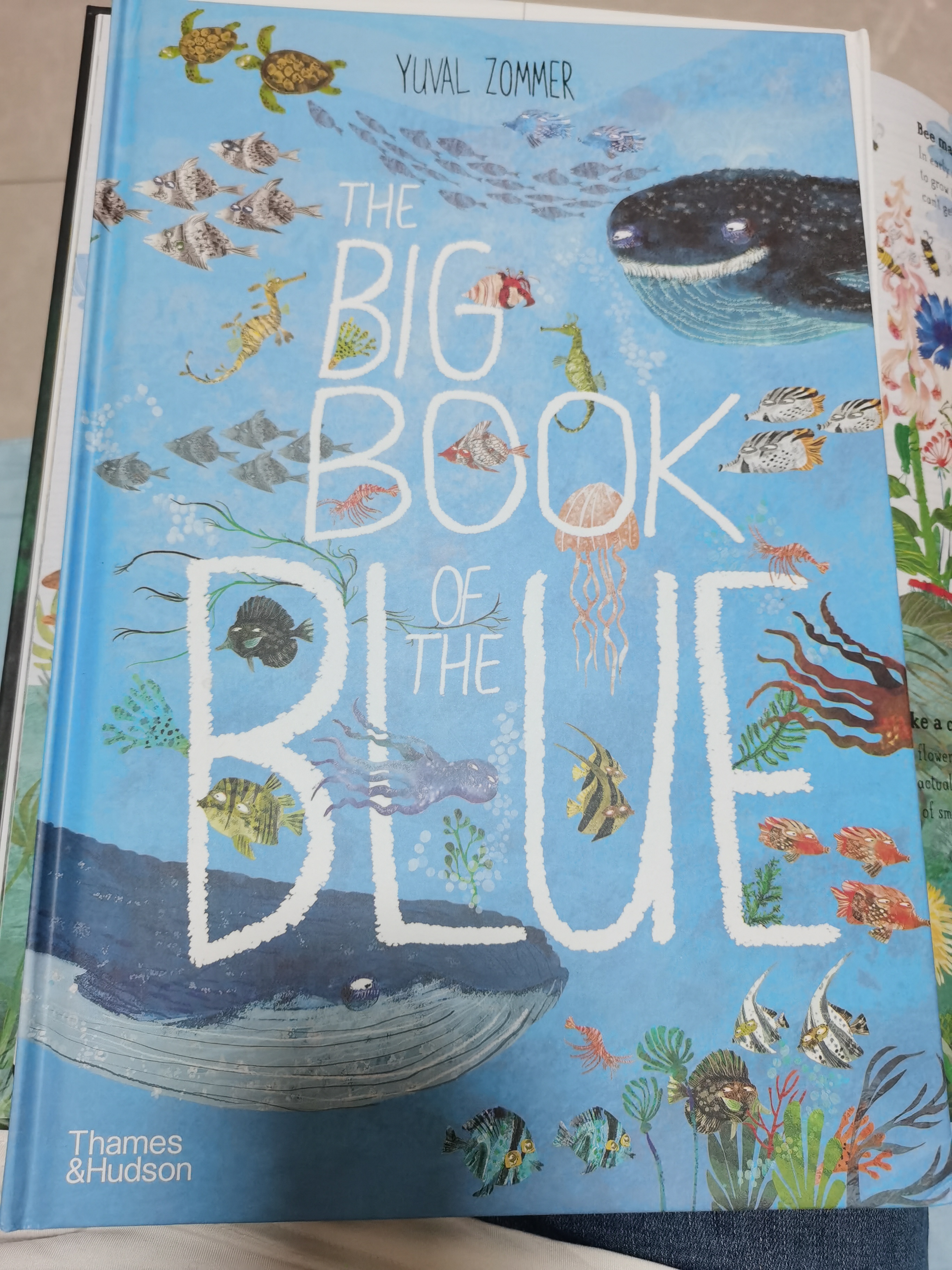 the big book of the blue