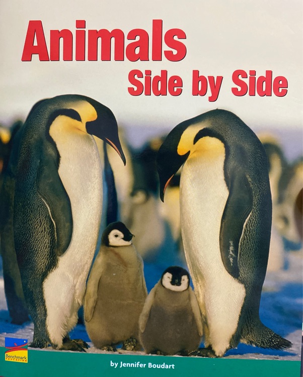 animals side by side