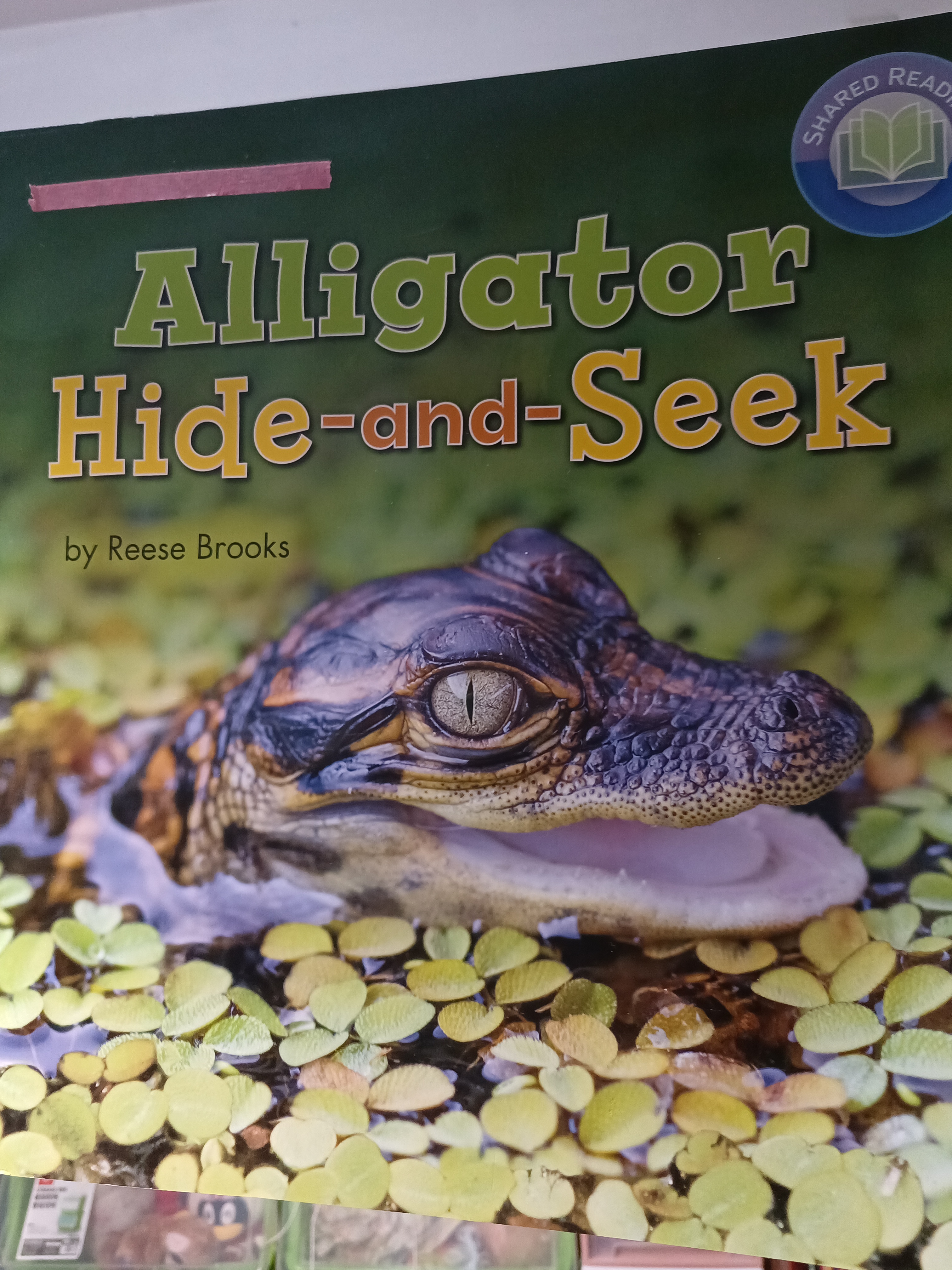 Alligator Hide and Sewk