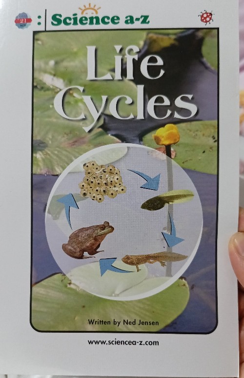 life cycle-High