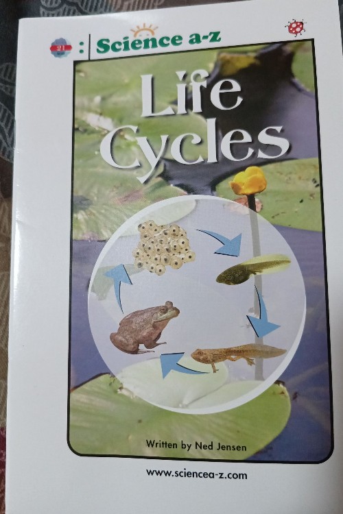 the life cycle-mid