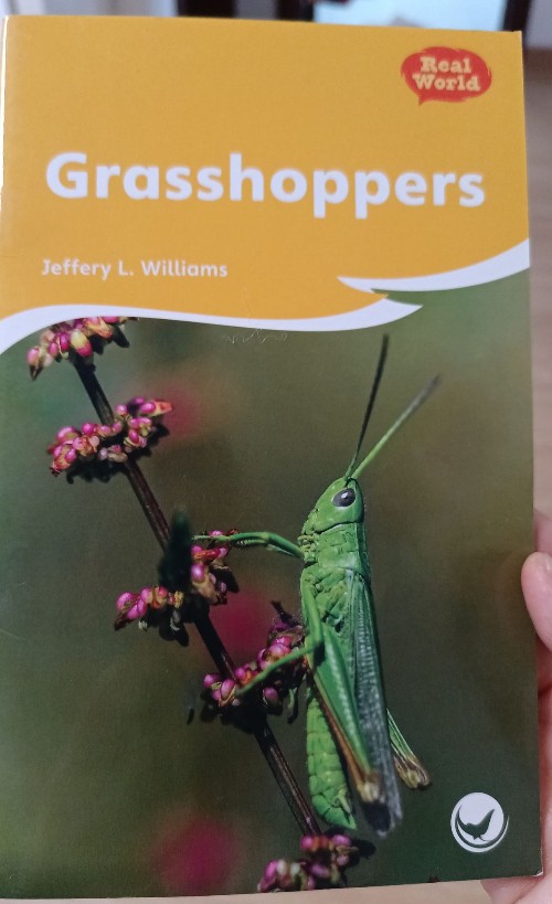 Grasshoppers