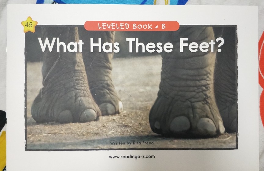 What has these feet