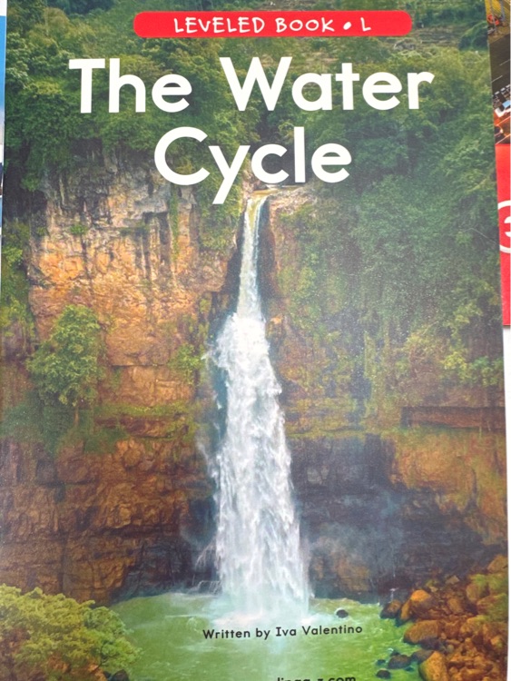 The Water Cycle
