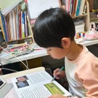 橙子的書房