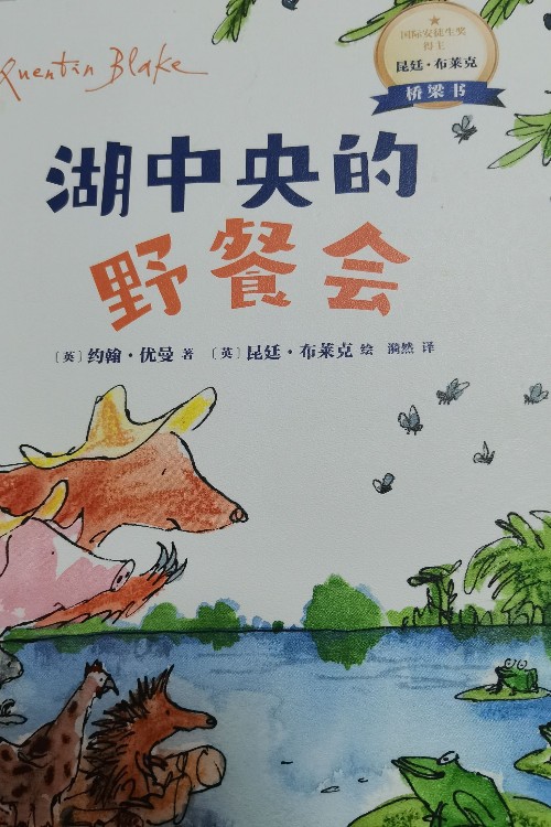 湖中央的野餐會