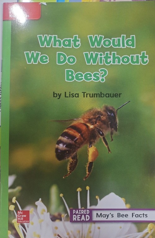 What Would We Do Without Bees?