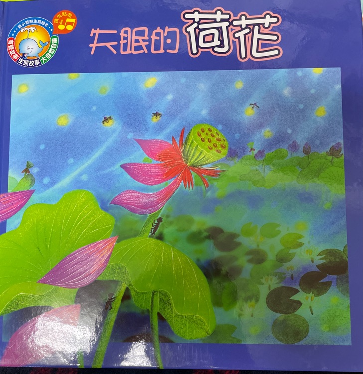 失眠的荷花