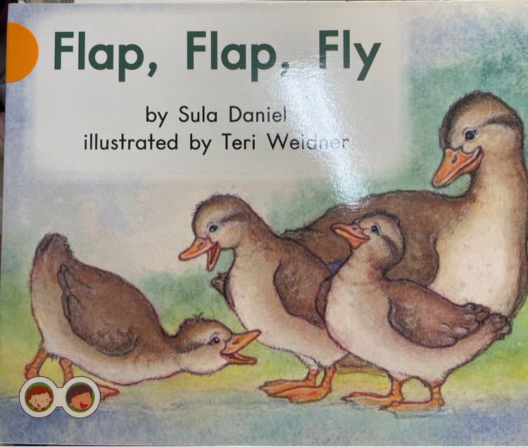 Flap flap fly