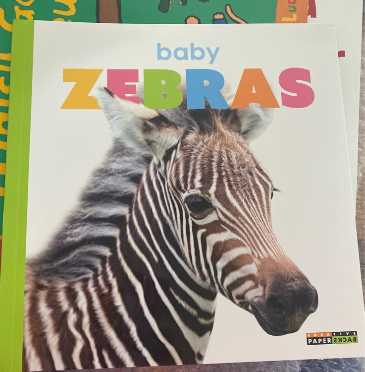 Baby Zebras (Starting Out)