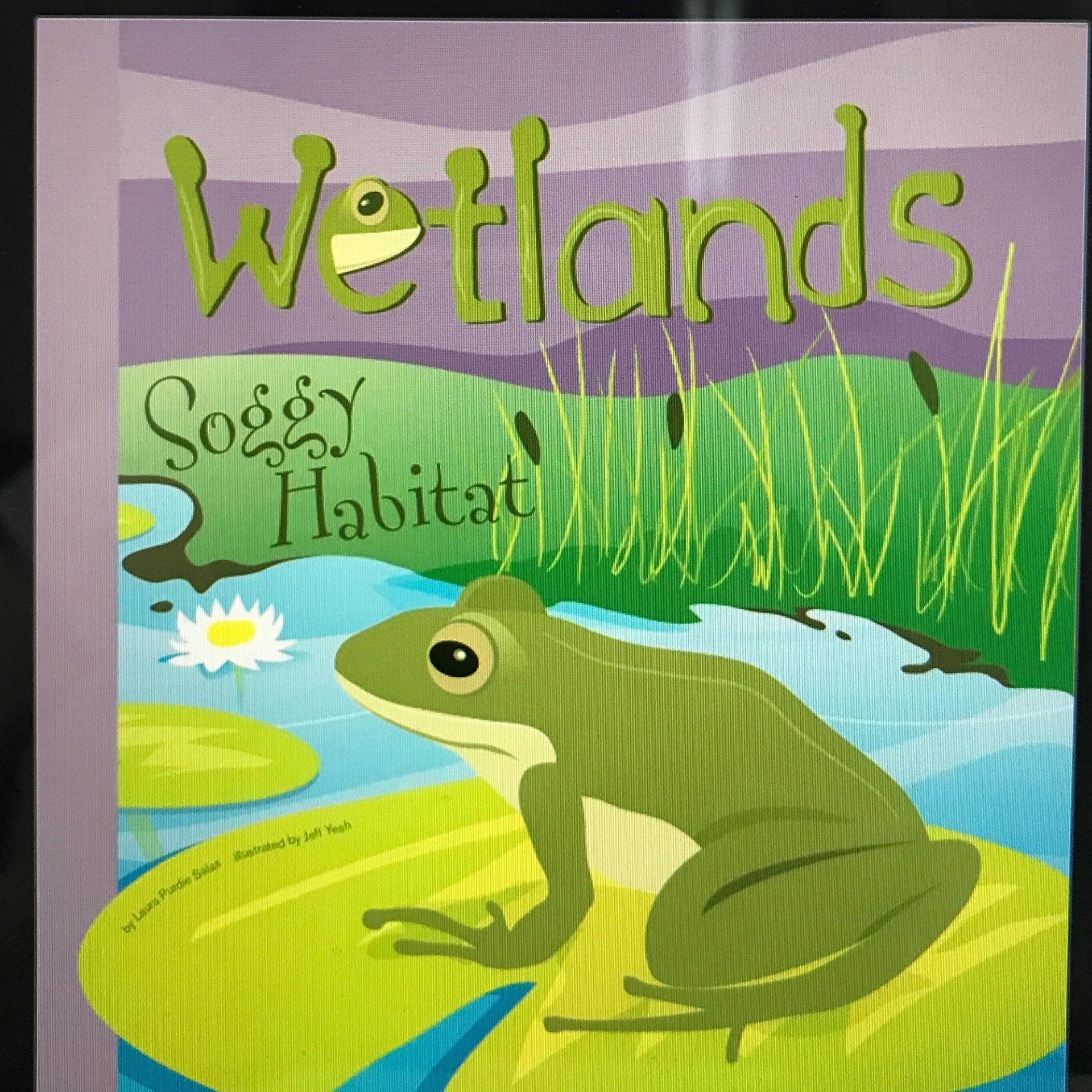 Wetlands