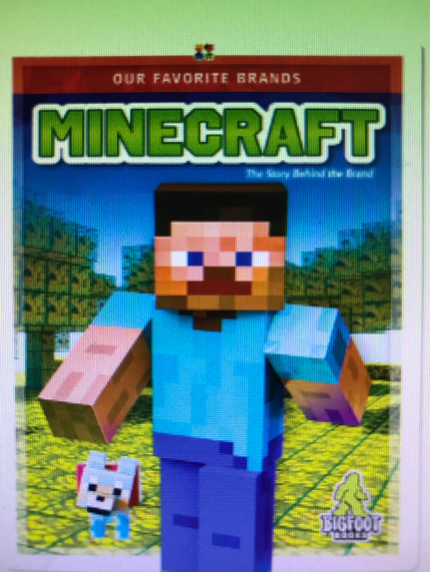 Our Favorite Brands: Minecraft