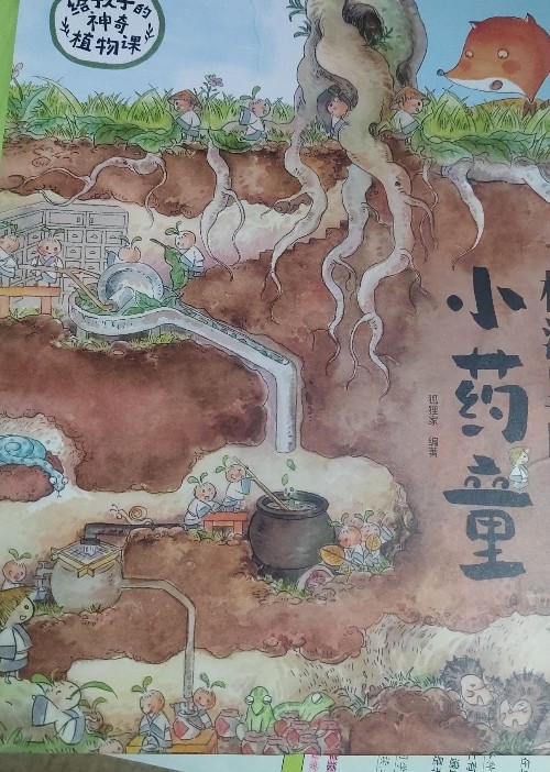 樹洞里的小藥童