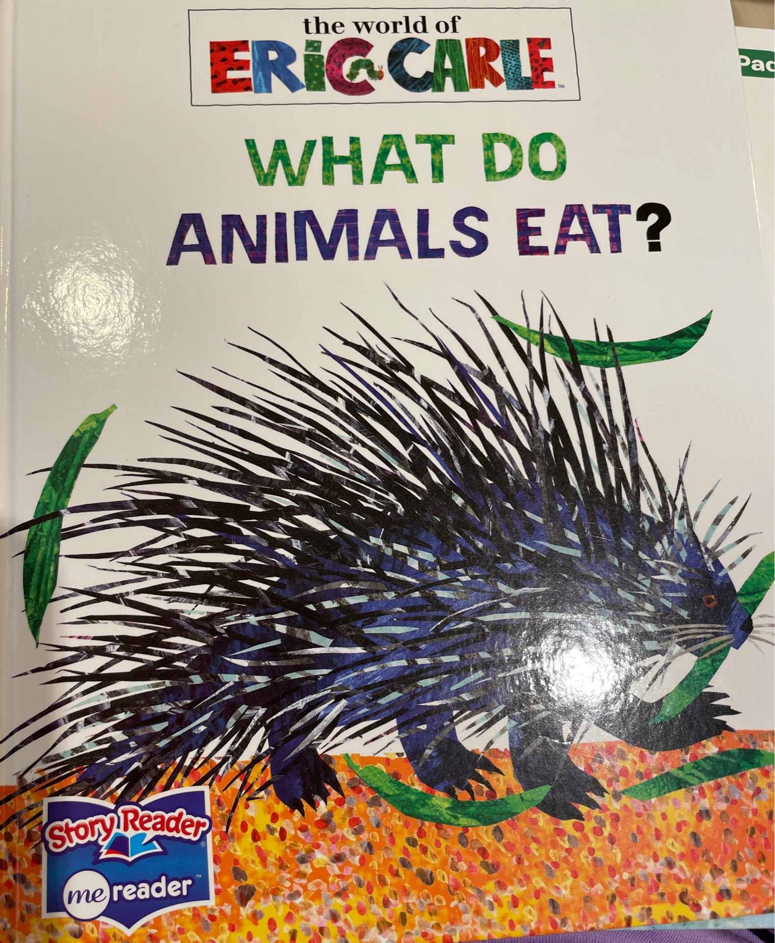 What do animals eat