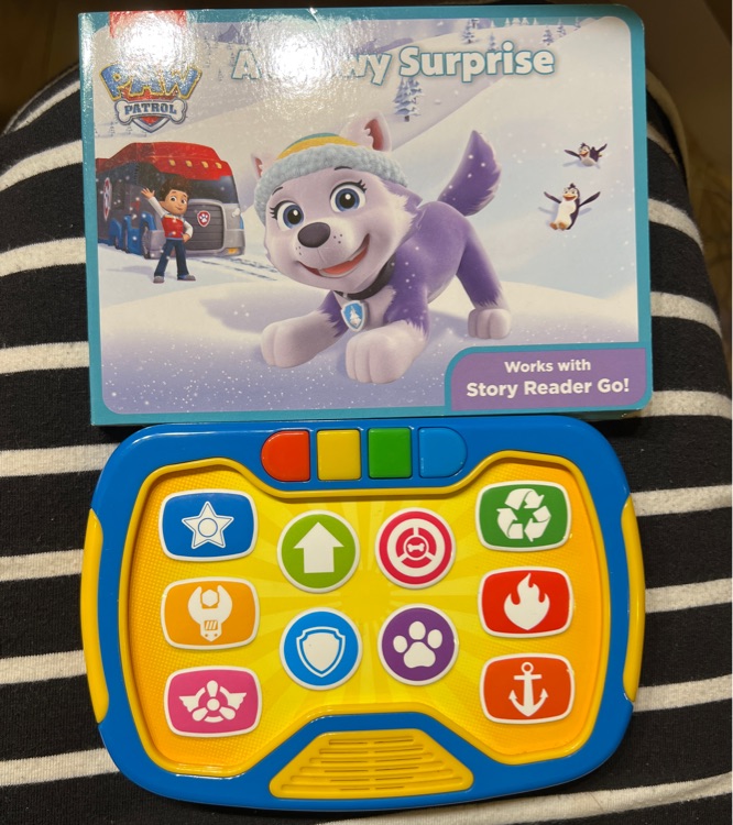 Paw Patrol: A Snowy Surprise