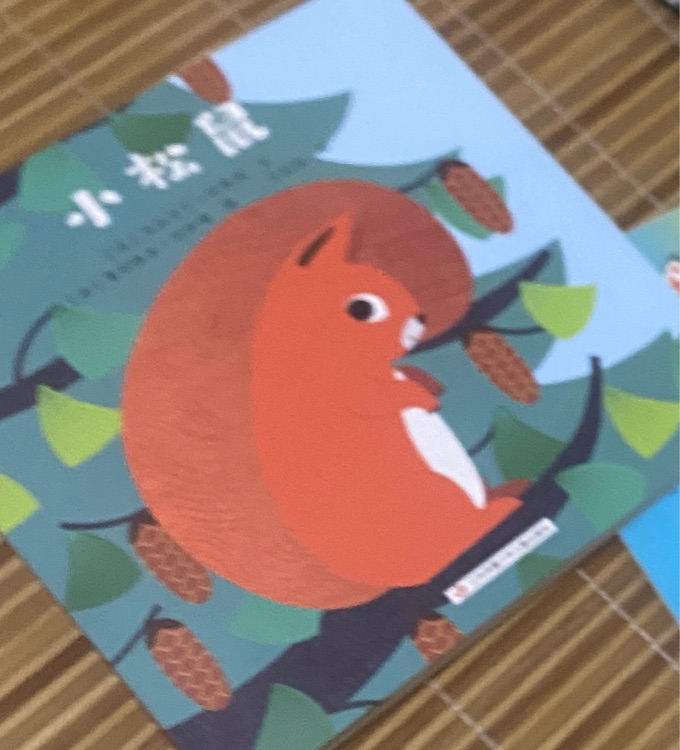 小松鼠