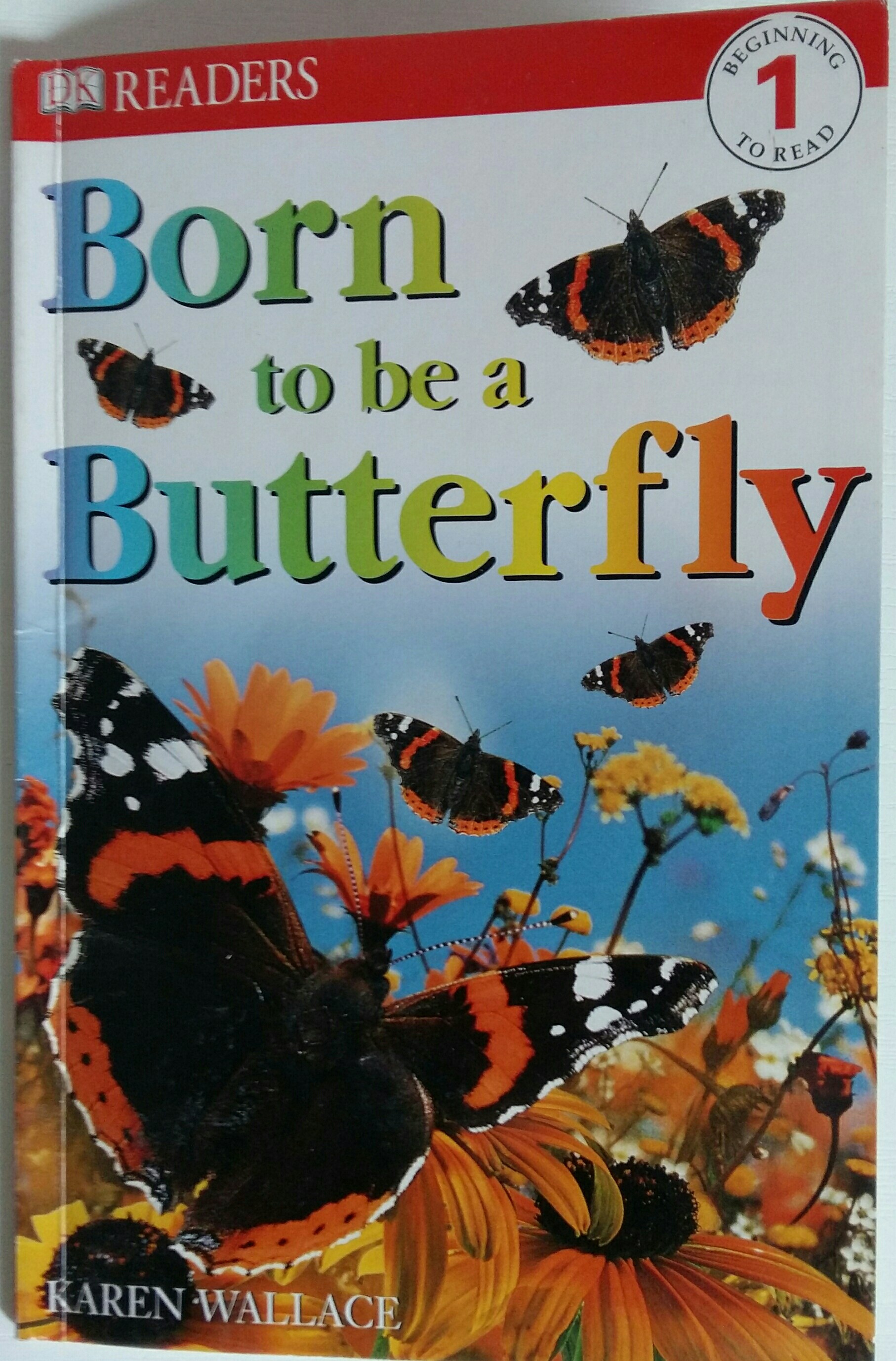 Born to be a Butterfly