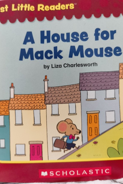 a house for mack mouse