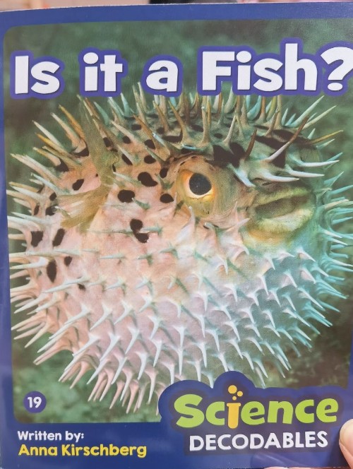 is it a fish