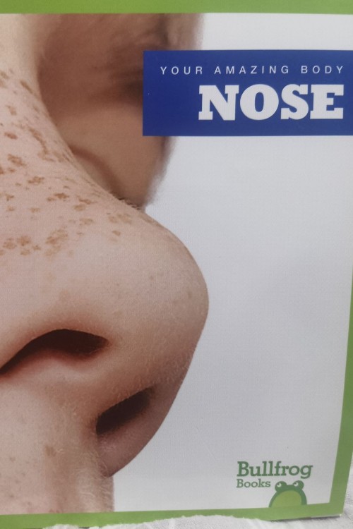 nose