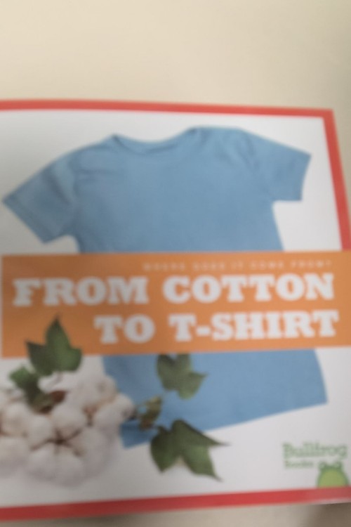 from cotton to T-shirt