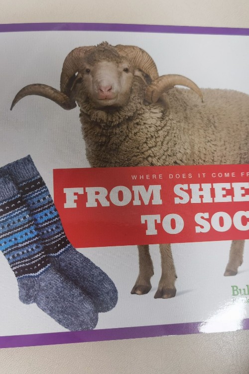 from sheep to sock