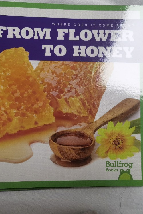 from flower to honey