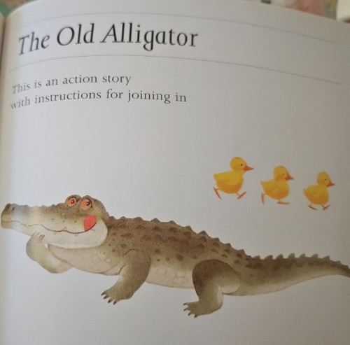 the old alligator