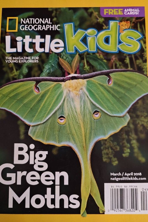 national geography little kids big green moths