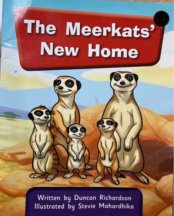 The meerkats' new home