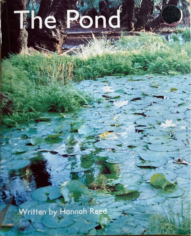 The pond