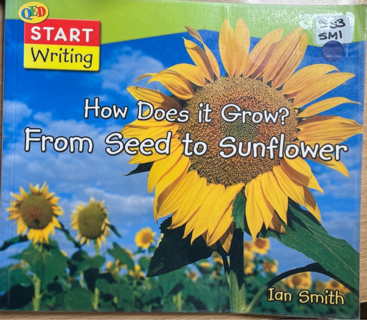 How does it grow? From seed to sunflower