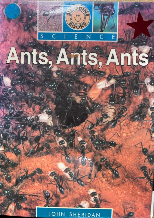 Ants, Ants, Ants