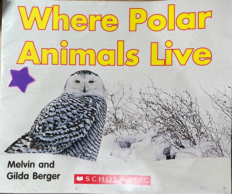 Where polar animals live