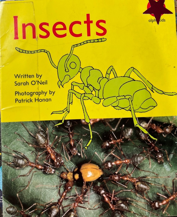 Insects