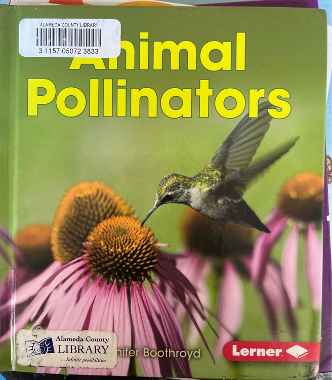 Animal Pollinators