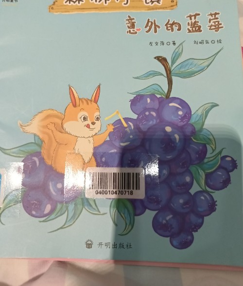 意外的藍莓
