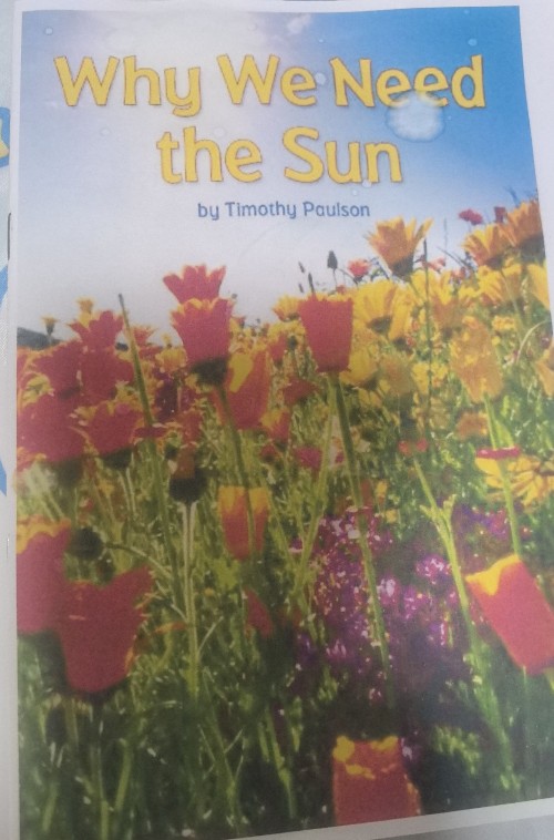 Why We Need the Sun