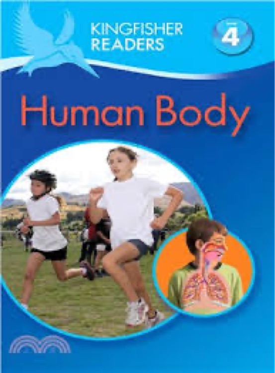 Human Body