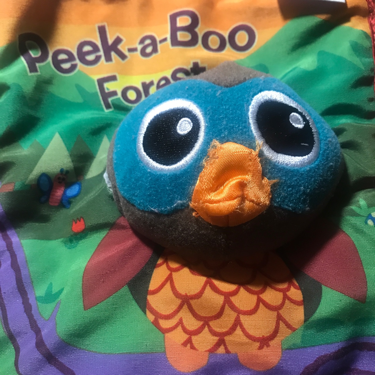 Peek-a-Boo Forest