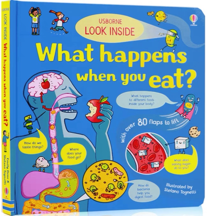 Look Inside What Happens When You Eat