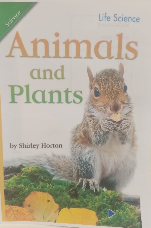 animals and plants