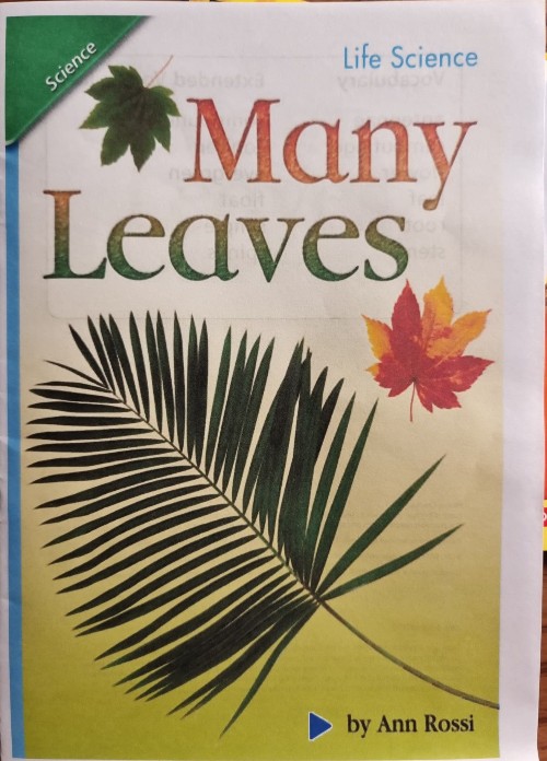 Many Leaves