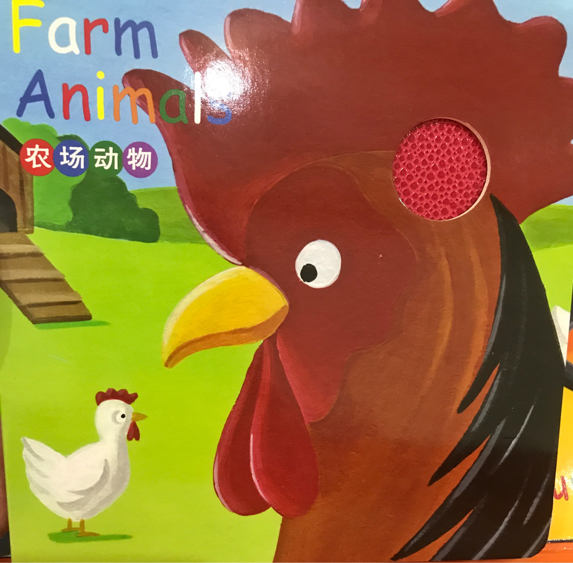 farm animals 農場動物