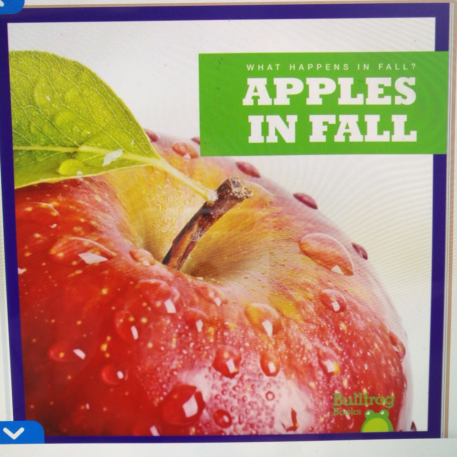 What Happens In Fall? Apples In Fall