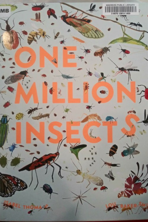 one million insects